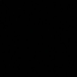 Meet your Posher, Lynn